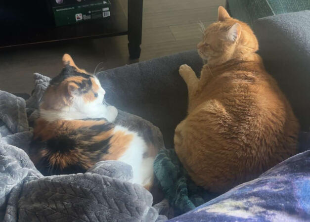Mac &amp; Lil